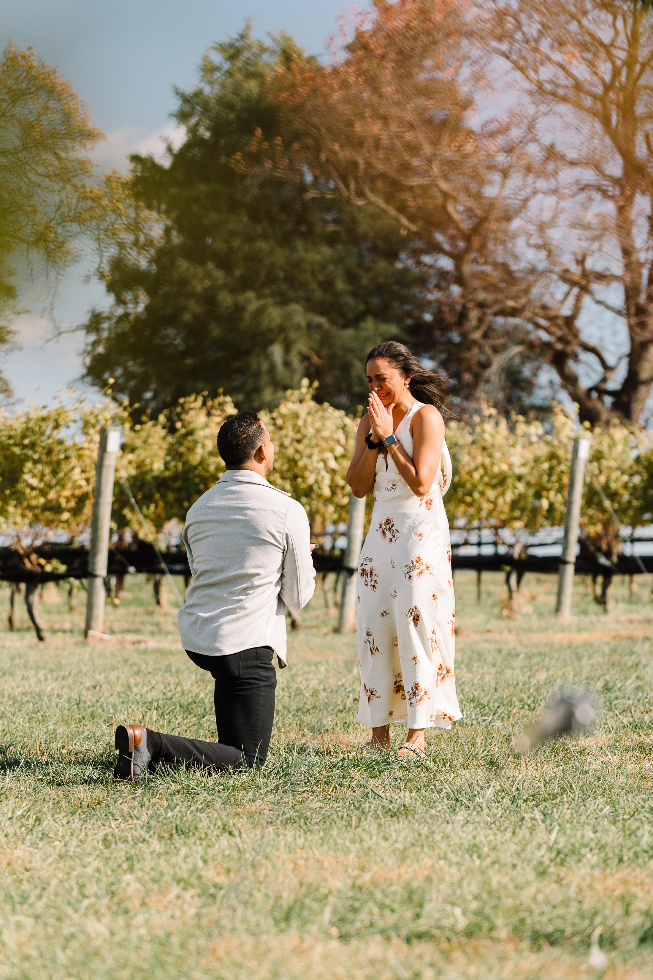 The proposal at Stone Tower Winery